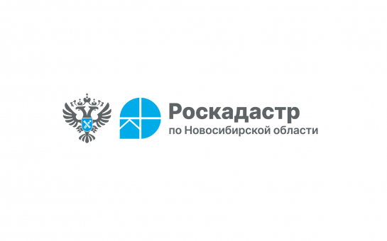  Эксперты новосибирского Роскадастра назвали способы защитить свою недвижимость